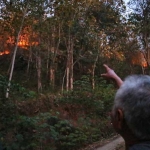 Kondisi lahan hutan yang masih dilalap api. 