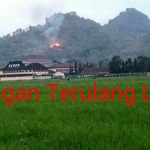 Hutan kota yang terbakar. foto: herman/bangsaonline