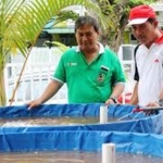 Kabid Perikanan dan Budidaya Suryono Bintang Samudra (baju hijau), saat memantau bibit ikan di kolam bioflok.