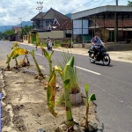 Salah satu titik kerusakan Jalan di Jalur Ngampon-Bendo, Trenggalek. foto: HERMAN SUBAGYO/ BANGSAONLINE