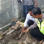 Makam Desa Kwangsan tempat penguburan bayi merah.