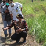 CEK: Wabup Subandi saat sidak proyek plengsengan di Desa Singogalih Kecamatan Tarik, Rabu (25/8/2021). foto: ist.