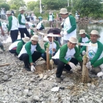 Penanaman pohon mangrove di Desa Karangagung oleh EMCL, Yayasan eL-Sal, DLH, dan sejumlah komunitas pecinta lingkungan.