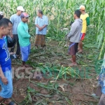 Warga setempat saat mendatangi lokasi baku tembak antara polisi dan teroris. foto: SUWANDI/ BANGSAONLINE