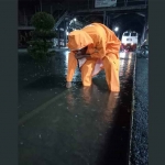 Petugas saat meninjau dampak banjir.