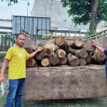 Barang bukti kendaraan dan kayu jati yang diamankan dari tangan tersangka Mantan Kades Renteng.