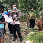 Dinas Ketahanan Pangan dan Peternakan (DKPP) Kabupaten Jember meninjau langsung sekaligus melakukan pemeriksaan terhadap hewan kurban di Jalan Tegal Besar Kecamatan Kaliwates, Kamis (15/7/2021).