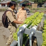 Budidaya anggrek oleh kelompok tani di Desa Sadengrejo, Rejoso Pasuruan. 