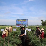 Kapolres Ngawi, Dwiasi Wiyatputera bersama Forkopimda ikuti panen raya 