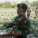  Komandan Brigif 18 Kostrad Para Raider Jabung, Kolonel Infanteri Ahmad Hadi Al Jufri saat memberi penjelasan kepada wartawan.