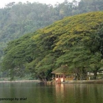 Telaga Ngebel. foto: flickr