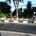 Kebun mangga milik Pemkab Gresik yang menjadi lokasi pembangunan kantor baru Polres Gresik. foto: SYUHUD/ BANGSAONLINE