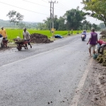 Warga sedang melakukan penanaman pohon dan bunga di tepi jalan.