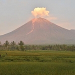 Erupsi Gunung Semeru: Menyingkap Kisah Tragis Aktivis Soe Hok Gie di Gunung Semeru. Foto: Ist