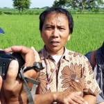 Ir. Sahatua Panjaitan didampingi oleh Pengamat Organisme Pengganggu Tanaman (POPT ) Subakir, dan PPL Kec. Ngasem Yayuk Anisa, saat memberi ketarangan. foto: MUJI HARJITA/ BANGSAONLINE