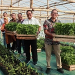 Ketua Pengurus K3PG, Awang Djohan Bachtiar (tengah), saat menunjukkan tanaman cabai di Green Tech. Foto: Ist
