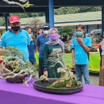 Wakil Bupati Kediri Dewi Mariya Ulfa, didampingi Ketua Panitia Pameran, Edy Yuwono (paling kiri) dan Plt. Kepala Dispertabun Kabupaten Kediri, Anang Widodo (paling kanan) saat melihat-lihat bonsai yang dipamerkan. foto: MUJI HARJITA/ BANGSAONLINE