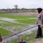 Kapolsek Kwadungan Iptu Sunarjati mendatangi lokasi korban tersengat listrik.