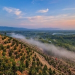 Pesona Bukit Dewa Dewi, Wisata Populer di Wonogiri. Foto: Ist