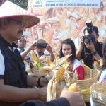 Gus Ipul saat panen jagung di Situbondo.