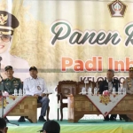 Bupati Blitar, Rini Syarifah, saat hadir dalam panen raya padi Inbrida di Kelurahan Sutojayan, Kecamatan Sutojayan.