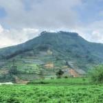 Tugu Legetang, sebagai pengingat tewasnya 332 warga dan 19 orang tamu Desa Legetang akibat potongan Gunung Pengamun-amun (tampak di belakang tugu) yang jatuh menimpa Desa tersebut. Dari 351 orang yang tewas, hanya 1 jasad yang bisa dievakuasi. foto: ilustrasi/pintarin