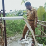 Kepala Desa Milangasri, Anggit Ardiyanto, saat uji coba sumur bor. Foto: ANTON SUROSO/BANGSAONLINE