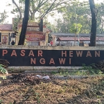 Keadaan pasar hewan di salah satu wilayah Kecamatan Ngawi.