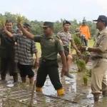 Kadis Pertanian bersama Kasdim dan instansi terkait melaksanakan tanam padi serentak se-Kabupaten Nganjuk. foto: soewandito/ BANGSAONLINE