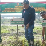 Bupati Sambari, Dandim Budi, dan Danrem Sudaryanto saat tanam rumput vetiver di tepi Kali Lamong. foto: ist.