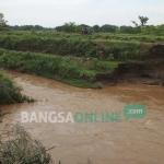 Bibir sungai yang tergerus di Desa/Kecamatan Bandar Kedungmulyo. foto: ROMZA/ BANGSAONLINE