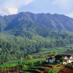Wisata Alam, Budaya, dan Edukasi di Desa Ketapanrame Mojokerto, Cocok Jadi Tempat Berlibur. Foto: Ist