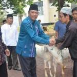 Bupati-Wabup, Sambari-Qosim (SQ) ketika menyerahkan kambing kurban. (foto: syuhud/BANGSAONLINE)