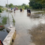 Banjir yang terjadi akibat meluapnya Kali Lamong di wilayah Gresik Selatan. foto: ist.