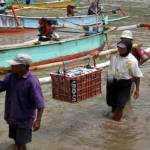 DILIRIK INVESTOR. Sejumlah nelayan membawa hasil tangkapan ikan di perairan Puger Jember. (foto: antara)
