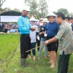 Bupati Fadeli didampingi Wakilnya Kartika saat gerakan gropyok hama Tikus di Kedungpring.