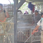 Petugas saat menyemprotkan disinfektan di Pasar Basah Trenggalek. foto: HERMAN/ BANGSAONLINE