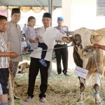 Kapolresta Sidoarjo Kombes Pol. Zain Dwi Nugroho (menggendong anak) saat menyerahkan sapi kurban.