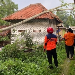 Petugas melakukan penebangan pohon yang menimpa rumah warga.