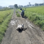 Korban ditemukan dalam kondisi tengkurap di jalan setapak.