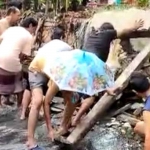 Warga sekitar saat melakukan perbaikan sementara dinding pelapis tanggul Kali Kembang Kuning, Surabaya.