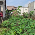 Tim BPBD, FPRB, dan kepala desa saat meninjau salah satu rumah warga yang rusak.