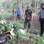 Widodo saat ditemukan warga usai mencari rumput, sudah tidak bernyawa lagi dengan kondisi tertindih motor yang ia kendarai. 