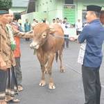 Penyerahan hewan kurban pada takmis masjid di wilayah Korem 081/DSJ