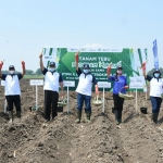 Petani binaan Petrokimia Gresik melalui Program Makmur saat penanaman tebu. foto: ist.