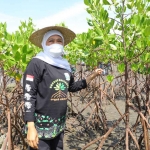 Gubernur Khofifah saat berada di hutan mangrove.