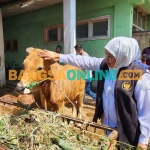 Gubernur Khofifah saat melakukan peninjauan. Foto: DEVI FITRI AFRIYANTI/BANGSAONLINE