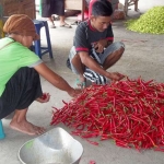 Kasmiyati, saat menggelar cabainya di pasar Sukomoro. foto: INTAN/ BANGSAONLINE