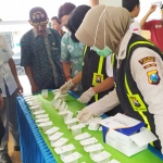 Petugas saat melakukan pengecekan pada sample urine para aparat desa.