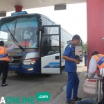 Petugas saat melakukan inspeksi terhadap salah satu bus. foto: ZAINAL/ BANGSAONLINE